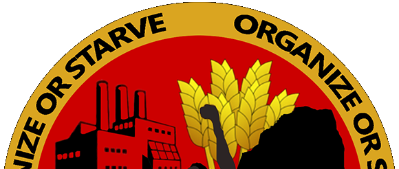 PIONEER FOOD GROCERIES 