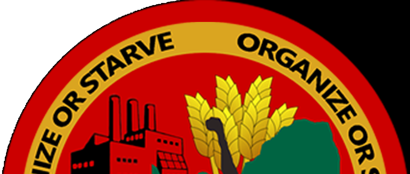 AN ARBITRATION AWARD PICK N PAY MINI MARKET