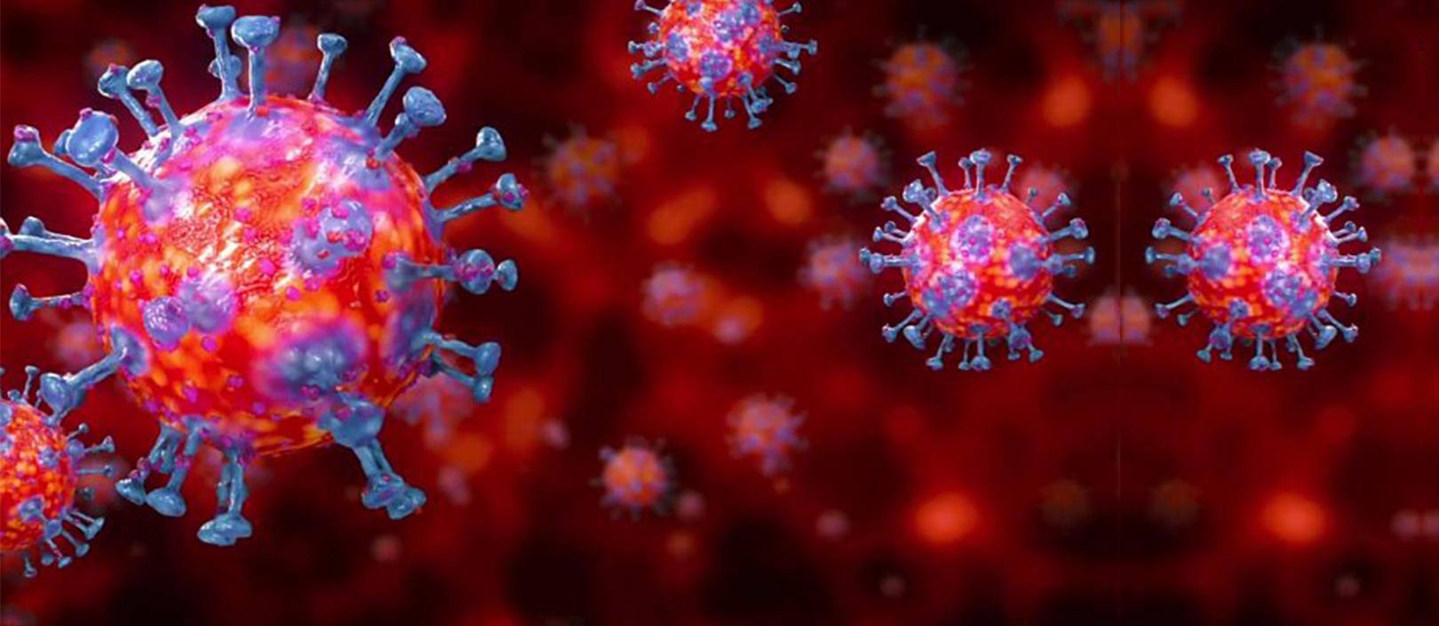 Updated Covid-19 (Coronavirus) Lockdown Guidelines