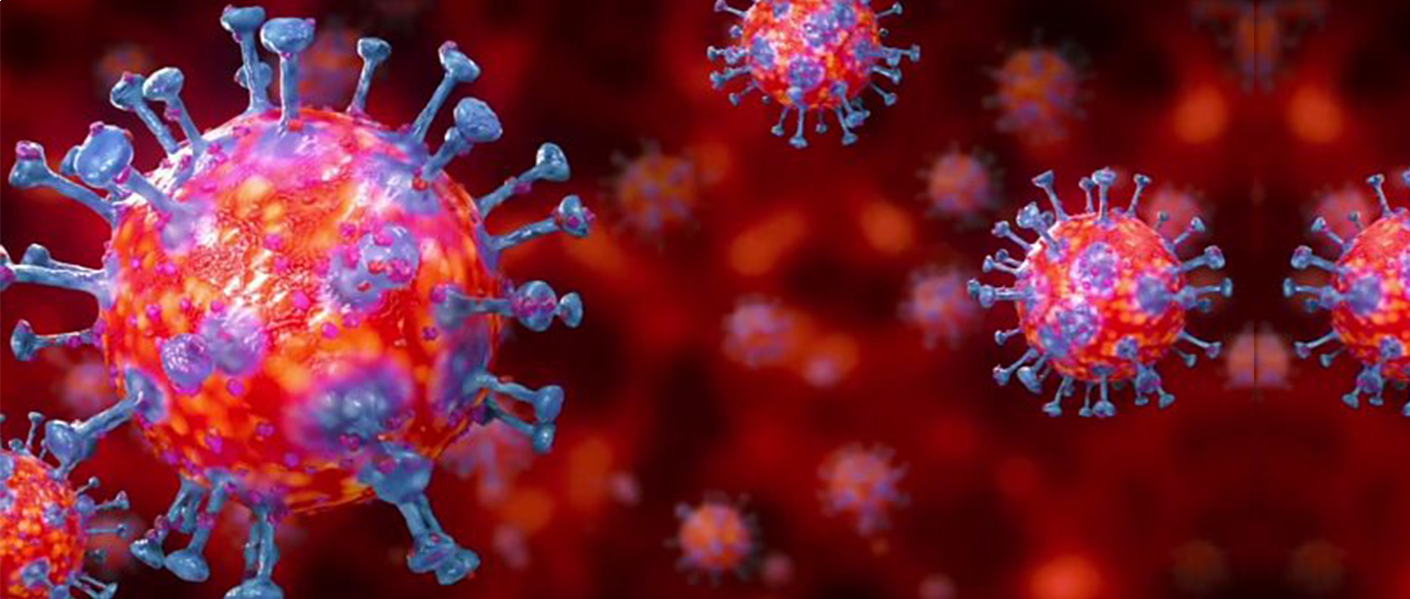 Covid-19 (Coronavirus) Lockdown Guidelines